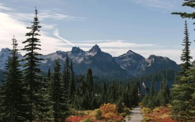 Environmental Defense Fund: New modeling shows the power and potential of cap-and-invest in Washington state